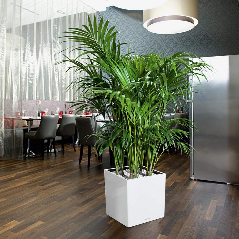 le_cube40_product_addi_01